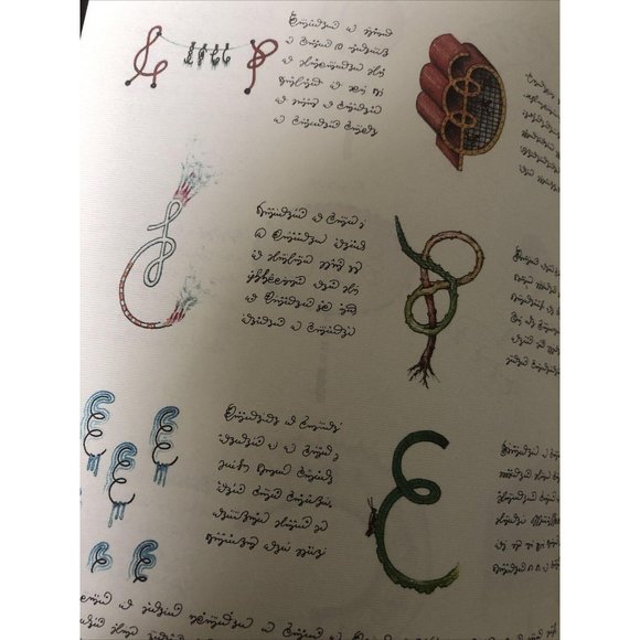 Luigi Serafini Codex Seraphinianus Print 181A - Picture 7 of 12